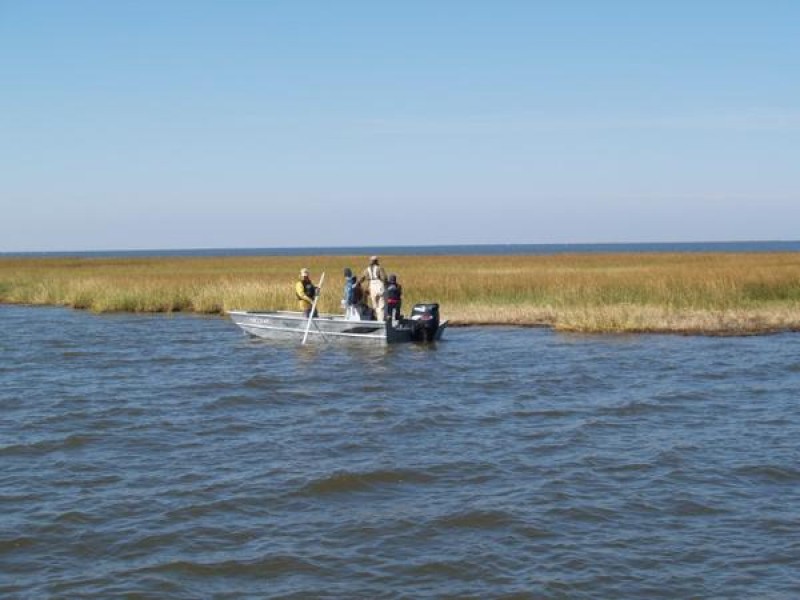Shoreline Stabilization On Biloxi Marsh Utilizing Artificial Oyster Reef