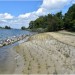 The Preservation of the Shoreline of Church Point on the St. Mary's River
